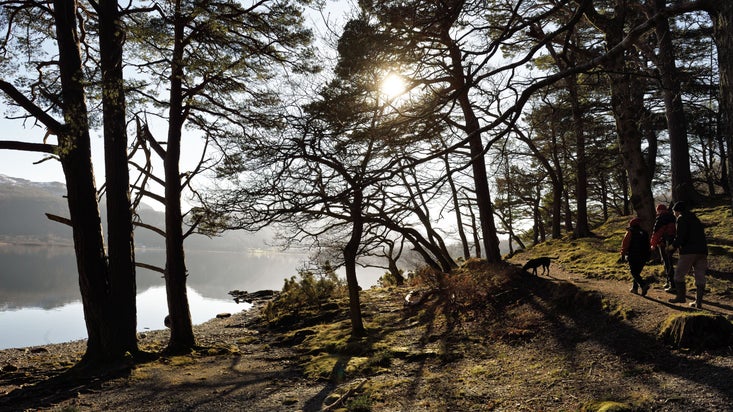 A group of people walk alongside Derwent Water in the Lake District with their dogs during winter.